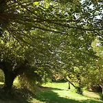 Ca' Poldo - Casale Dei Fiori Ancona