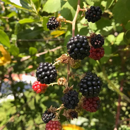 Apartamento Ca' Poldo - Casale Dei Fiori Ancona