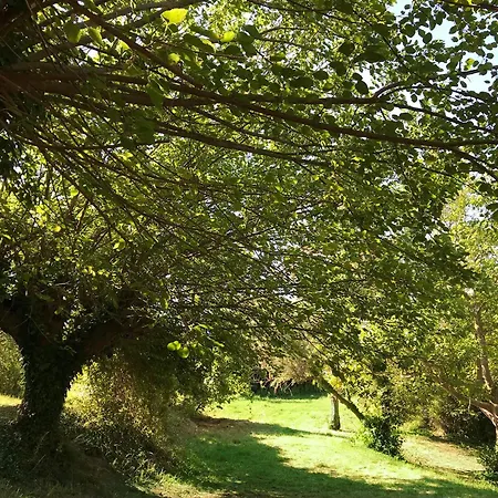 Ca' Poldo - Casale Dei Fiori アンコーナ