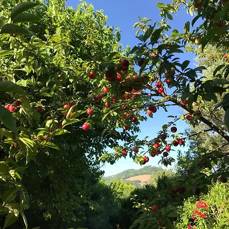 Апартаменты Ca' Poldo - Casale Dei Fiori *